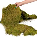 Terrario Shadow Forest Moss - mech naturalny 35x28cm Terrario