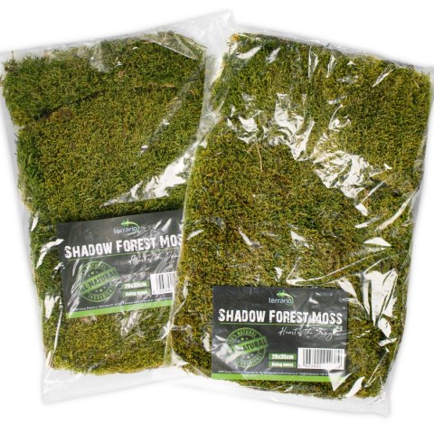 Terrario Shadow Forest Moss - mech naturalny 35x28cm Terrario Terrario Shadow Forest Moss - mech naturalny 35x28cm Terrario