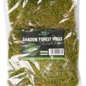 Terrario Shadow Forest Moss - mech naturalny 35x28cm Terrario