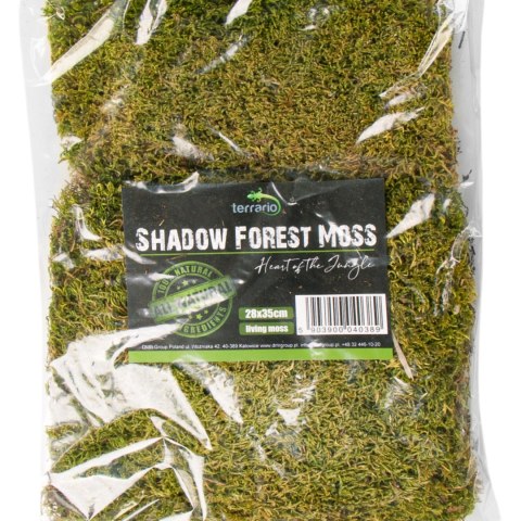 Terrario Shadow Forest Moss - mech naturalny 35x28cm Terrario Terrario Shadow Forest Moss - mech naturalny 35x28cm Terrario