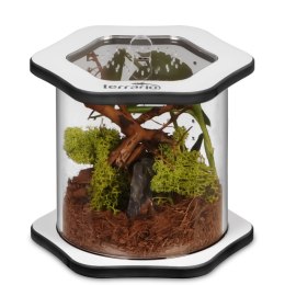 Terrario Spiders Tube Med100 - terrarium akrylowe Terrario