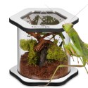 Terrario Spiders Tube Med100 - terrarium akrylowe Terrario