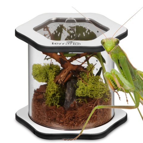 Terrario Spiders Tube Med100 - terrarium akrylowe Terrario Terrario Spiders Tube Med100 - terrarium akrylowe Terrario
