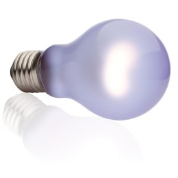 EXO TERRA Sun-Glo 60W - żarówka dzienna Exo terra