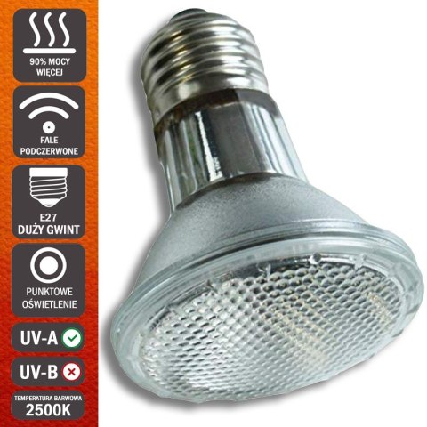 Komodo Halogen 35W - halogen grzewczy 3w1 Komodo Komodo Halogen 35W - halogen grzewczy 3w1 Komodo