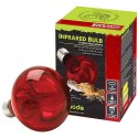 Komodo Infrared 150W - żarówka grzewcza podczerwona Komodo