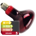 Komodo Infrared 150W - żarówka grzewcza podczerwona Komodo