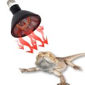 Repti-Zoo Deep Heater 100W - promiennik ciepła Repti-Zoo