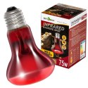 Repti-Zoo Infrared Basking Spot 75W - żarówka grzewcza podczerwona Repti-Zoo Repti-Zoo Infrared Basking Spot 75W - żarówka grzewcza podczerwona Repti-Zoo