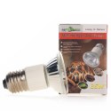 Repti-Zoo Mini Halogen Spot 35W - mały halogen grzewczy Repti-Zoo