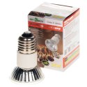 Repti-Zoo Mini Halogen Spot 35W - mały halogen grzewczy Repti-Zoo