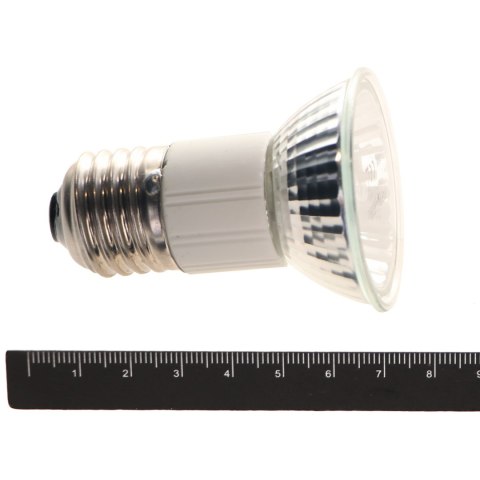 Repti-Zoo Mini Halogen Spot 35W - mały halogen grzewczy Repti-Zoo Repti-Zoo Mini Halogen Spot 35W - mały halogen grzewczy Repti-Zoo