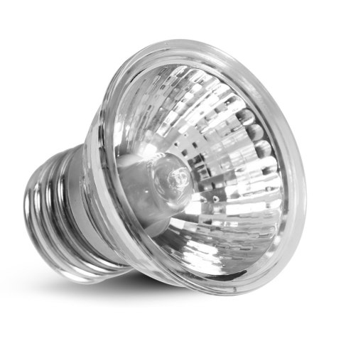 Repti-Zoo Mini Infrared lamp 40W - mini halogen podczerwony Repti-Zoo Repti-Zoo Mini Infrared lamp 40W - mini halogen podczerwony Repti-Zoo