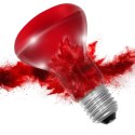 Resun Infrared Spot Lamp 50W - żarówka podczerwona Resun