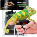 Terrario Amantea 2.0 14W - mata grzewcza z termostatem Terrario
