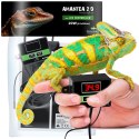 Terrario Amantea 2.0 20W - mata grzewcza z termostatem Terrario