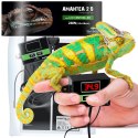 Terrario Amantea 2.0 28W - mata grzewcza z termostatem Terrario