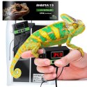 Terrario Amantea 2.0 35W - mata grzewcza z termostatem Terrario