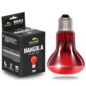 Terrario Nangola Red Night Light - żarówka podczerwona 25W Terrario