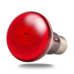 Terrario Nangola Red Night Light - żarówka podczerwona 25W Terrario