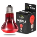 Terrario Nangola Red Night Light - żarówka podczerwona 25W Terrario