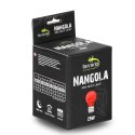 Terrario Nangola Red Night Light - żarówka podczerwona 25W Terrario