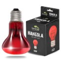 Terrario Nangola Red Night Light - żarówka podczerwona 50W Terrario