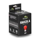 Terrario Nangola Red Night Light - żarówka podczerwona 50W Terrario