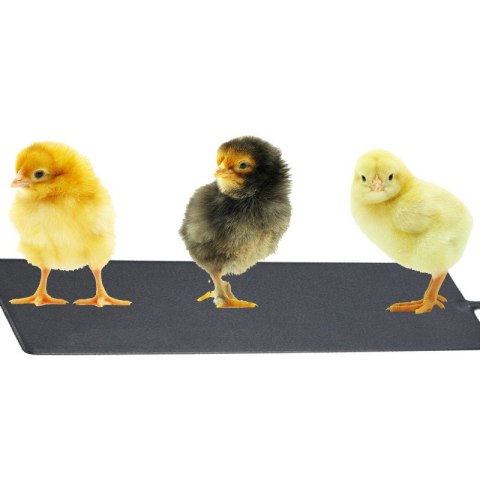 Terrario Repti-Pad PVC 10W - wodoodporna mata grzewcza Terrario Terrario Repti-Pad PVC 10W - wodoodporna mata grzewcza Terrario