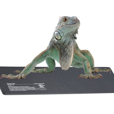 Terrario Repti-Pad PVC 40W - wodoodporna mata grzewcza Terrario Terrario Repti-Pad PVC 40W - wodoodporna mata grzewcza Terrario