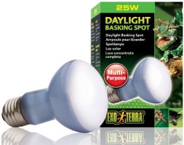 EXO TERRA Daylight 25W (żarówka grzewcza neodymowa) Exo terra