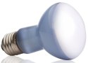 EXO TERRA Daylight 25W (żarówka grzewcza neodymowa) Exo terra
