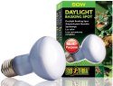 EXO TERRA Daylight 50W (żarówka neodymowa) Exo terra