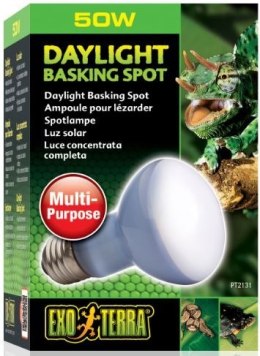 EXO TERRA Daylight 50W (żarówka neodymowa) Exo terra