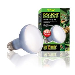 EXO TERRA Daylight Basking Spot 75W (żarówka grzewcza neodymowa) Exo terra