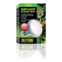 EXO TERRA Daylight Basking Spot 75W (żarówka grzewcza neodymowa) Exo terra