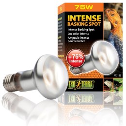 EXO TERRA Intense Basking Spot 75W (żarówka grzewcza) Exo terra