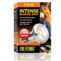 EXO TERRA Intense Basking Spot 75W (żarówka grzewcza) Exo terra