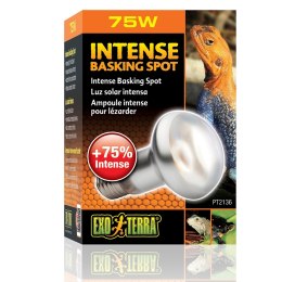 EXO TERRA Intense Basking Spot 75W (żarówka grzewcza) Exo terra