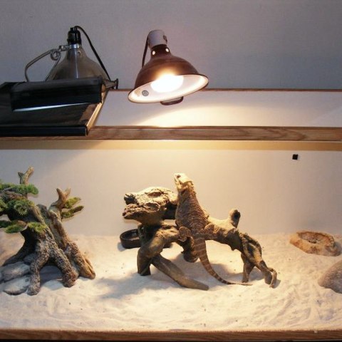 EXO TERRA Intense Basking Spot 75W (żarówka grzewcza) Exo terra EXO TERRA Intense Basking Spot 75W (żarówka grzewcza) Exo terra