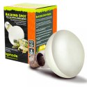 Komodo Basking Spot 150W - żarówka grzewcza 3w1 Komodo