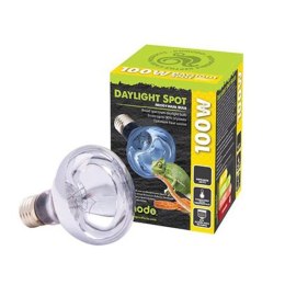 Komodo Daylight 75W - żarówka grzewcza 3w1 Komodo