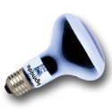 Komodo Daylight 75W - żarówka grzewcza 3w1 Komodo