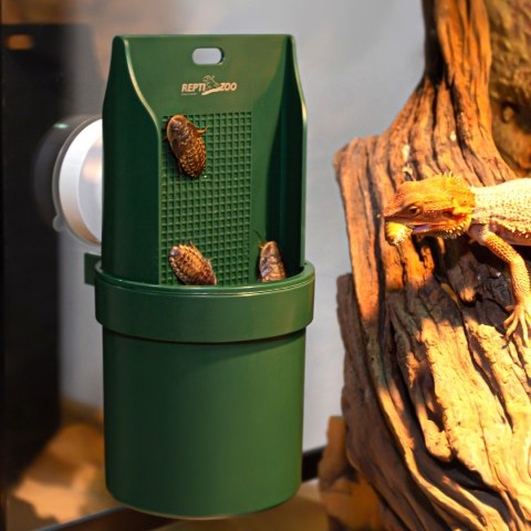 Repti-Zoo Arboreal Feeding Dish - wiszący karmnik dla gadów Repti-Zoo Repti-Zoo Arboreal Feeding Dish - wiszący karmnik dla gadów Repti-Zoo