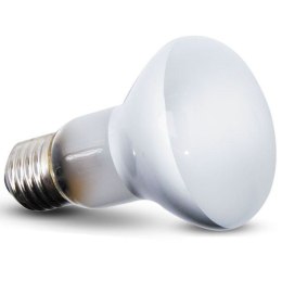 Repti-Zoo Beam Spot 100W - żarówka grzewcza punktowa Repti-Zoo