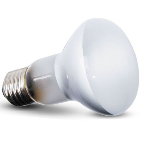 Repti-Zoo Beam Spot 100W - żarówka grzewcza punktowa Repti-Zoo