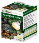 Repti-Zoo Beam Spot 75W - żarówka grzewcza punktowa Repti-Zoo