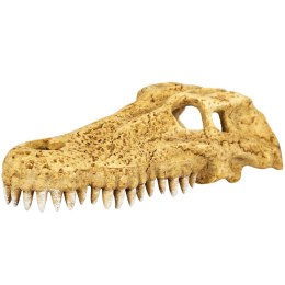 Repti-Zoo Crocodile Skull M - czaszka krokodyla Repti-Zoo