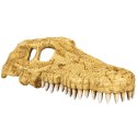 Repti-Zoo Crocodile Skull M - czaszka krokodyla Repti-Zoo