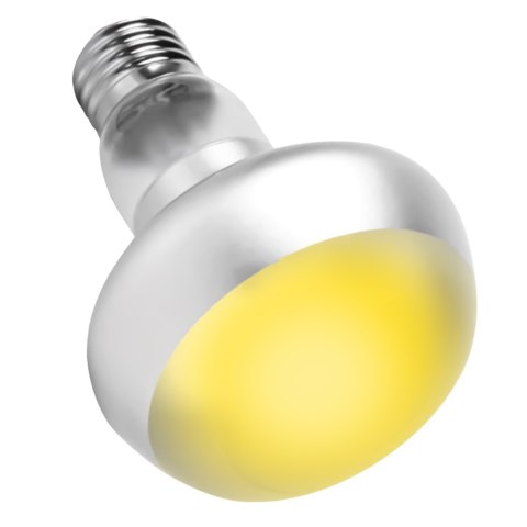 Repti-Zoo Flat Type Heating Bulb 50W - żarówka grzewcza płaska Repti-Zoo Repti-Zoo Flat Type Heating Bulb 50W - żarówka grzewcza płaska Repti-Zoo